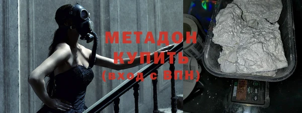 прущие грибы Аркадак