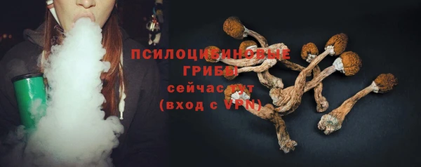 прущие грибы Аркадак