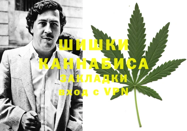 прущие грибы Аркадак